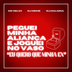 PEGUEI MINHA ALIANÇA E JOGUEI NO VASO "EU QUERO QUE MINHA EX"