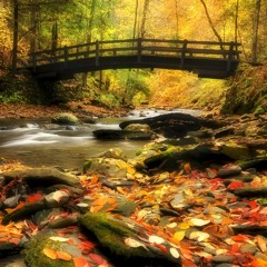 JEREMY ZUCKER Comethru ★ ZAYN Ft SIA Dusk Till Dawn ★ CHARLIE PUTH Attention