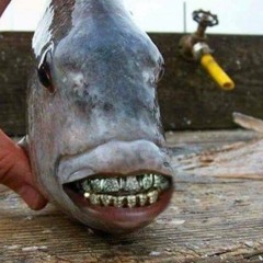 TRIPP TRAPP (Feat. Lille Trym)