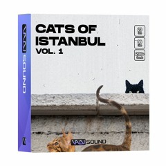 Cats of Istanbul Vol.1