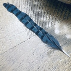 Coming Home - travMorah ( prod. Sachy X madeinxavir )