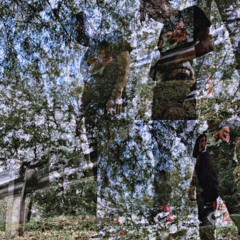 FORLORN FREESTYLE (WiLL)