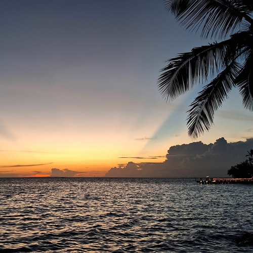 FEDE @ SUNSET IN REPUBLICA DOMINICANA ... THE END