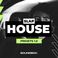 Slap House Essentials 1.0 [Serum Presets]