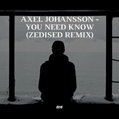 Axel Johansson - You Need To Know (Zedised Remix)