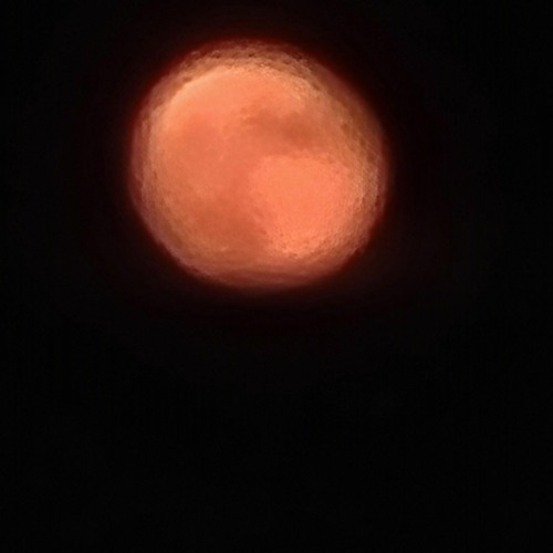 greenman just arrive