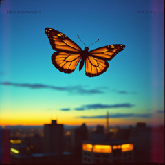 Bando Butterfly