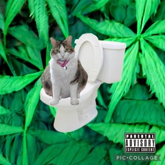 Fake Famous Freestyle (prod. Sardine)