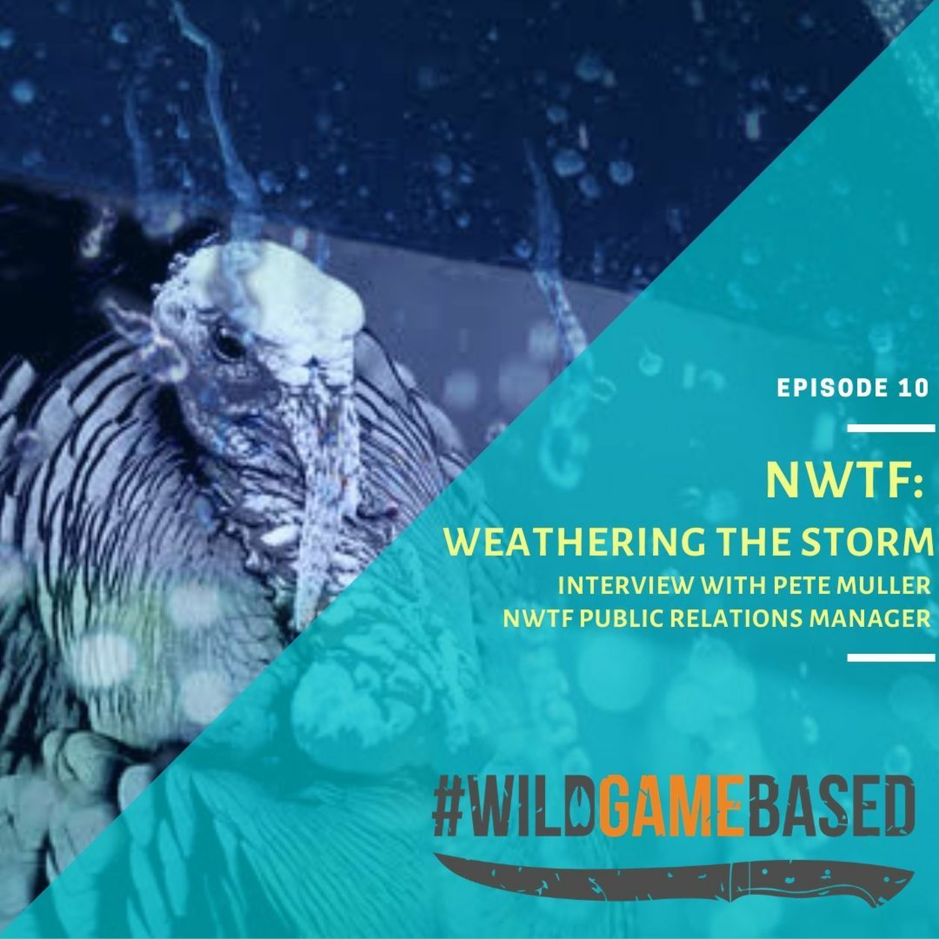 Wild Game Based Podcast