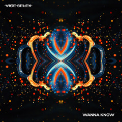 Vice Selex - Wanna Know