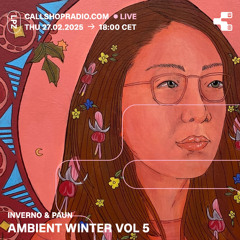 ambient winter vol 5 - inverno & paun 27.02.25