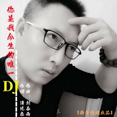 你是我今生的唯一 (dj慢版)