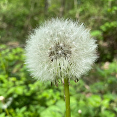 B1: DTZ Zusammen etwas planen