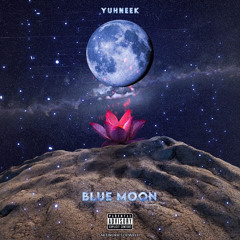 YuhNeek X Destiny