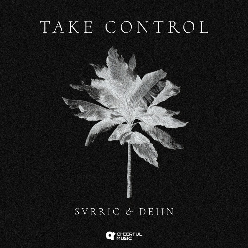 SVRRIC, DEIIN - Take Control