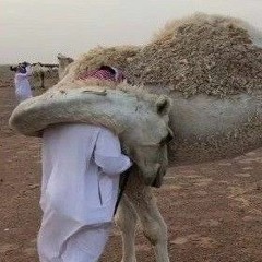 قعدنا لا ناقه لا بير الفنان حسين الجلالي والفنان فايز الجلالي (320 kbps).mp3