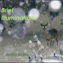 Brief Illuminations