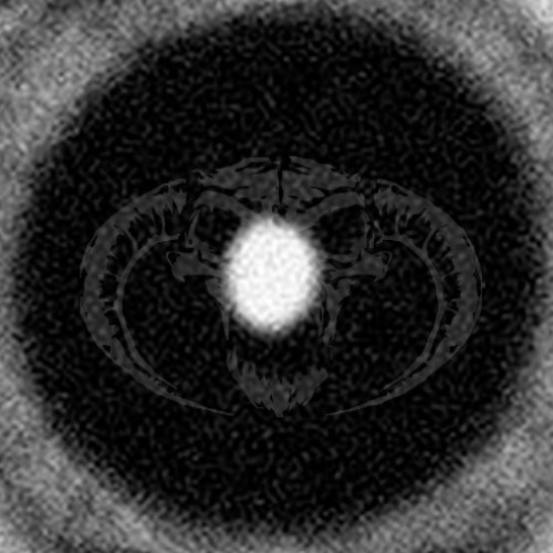 Today are Thrillah Offensive / Hardcore - V . 14