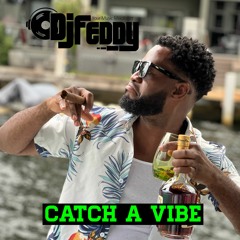 DJ Feddy - Catch A Vibe [7 - 2023]