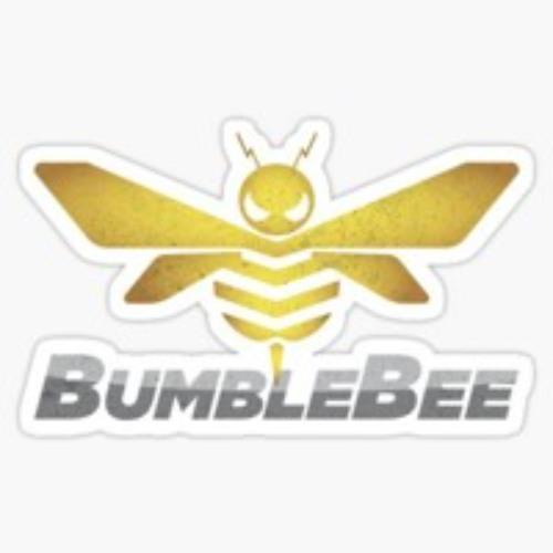 Bumble Bee Sting [Original song]