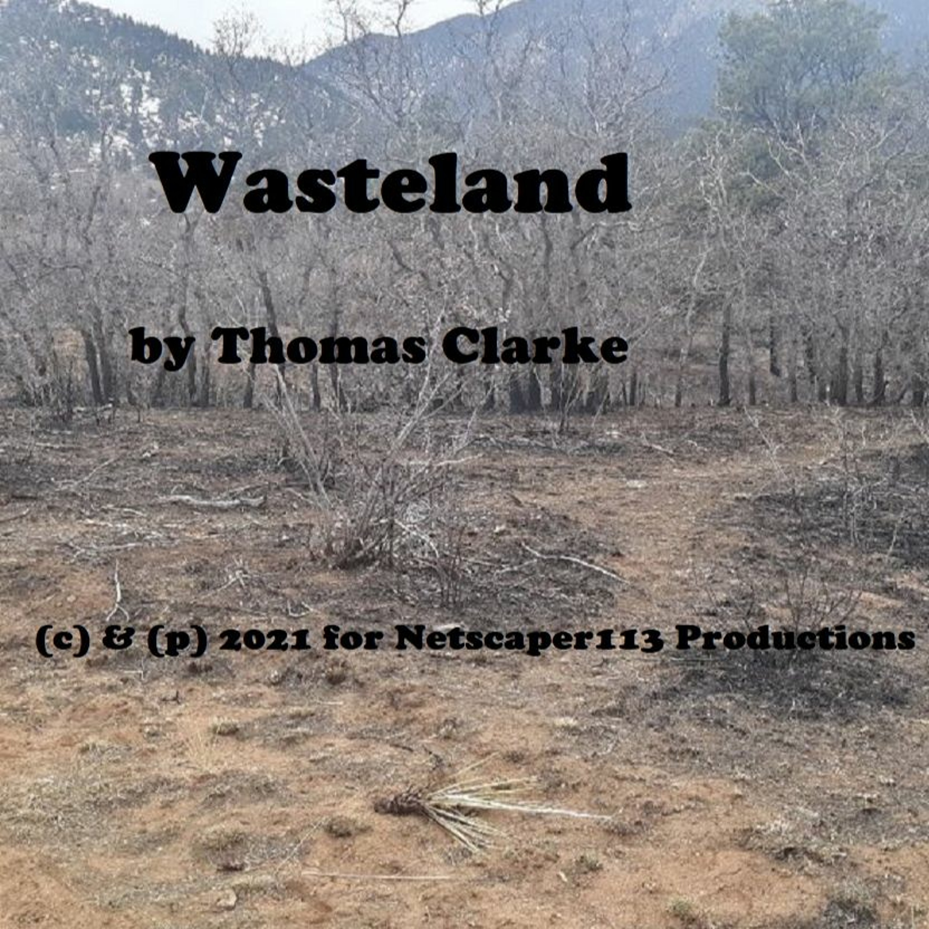 Wasteland episode artwork