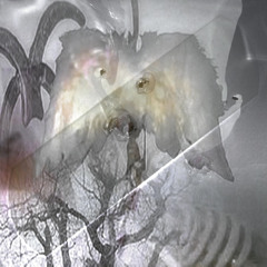 Mindless play can hold more power than meaning