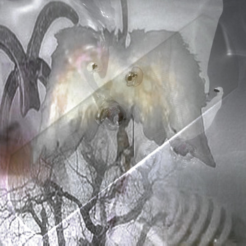 Mindless play can hold more power than meaning