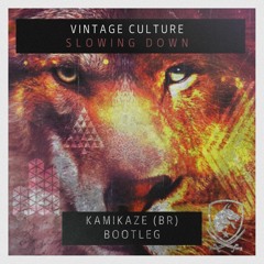(FREE DOWNLOAD) Vintage Culture - Slowing Down [Kamikaze (BR) Bootleg]