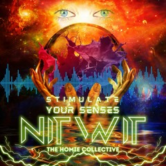 NITWIT X sumwut - Stimulate Your Senses