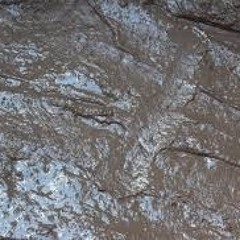 Got It From Da Dirt - Mac G