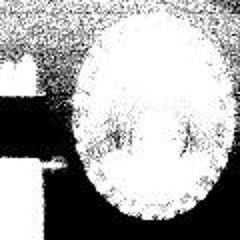 nelde x "STABLE STAPLE"