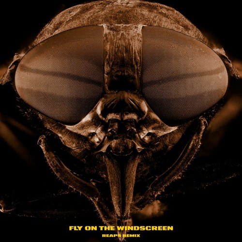 Depeche Mode - Fly On The Windscreen (Reaps Remix)