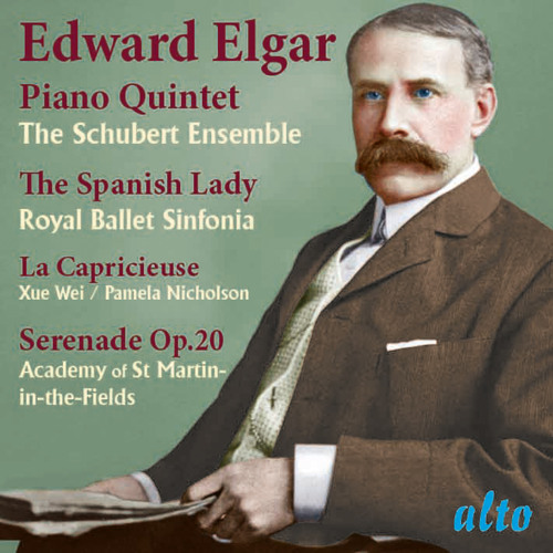 Serenade for strings in E Minor, Op. 20: I. Allegro piacevole