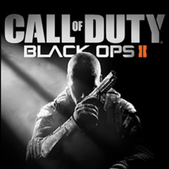 BO2 x Put it On mashup