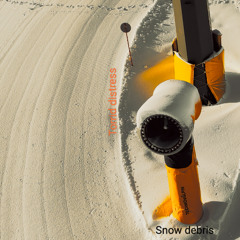 Snow debris