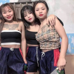 NST Việt Mix Hot Hit 2023
