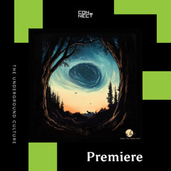 PREMIERE: Florian Gasperini & Alex Coustenoble - Elektricity [Where The Shadow Ends]