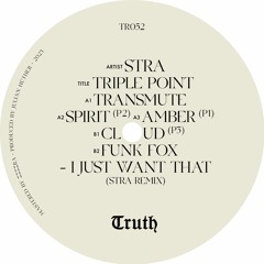 PREMIERE: Funk Fox - I Just Want That (Stra Remix) [Truth Radio]
