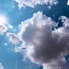 LEODEE - Rework / Summer 17