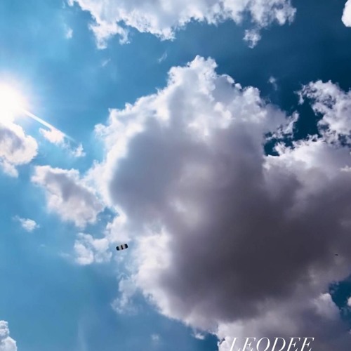 LEODEE - Rework / Summer 17