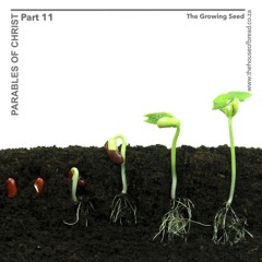 Voice Note For 20241013 - The Growing Seed - Parables Of Christ - Part 11