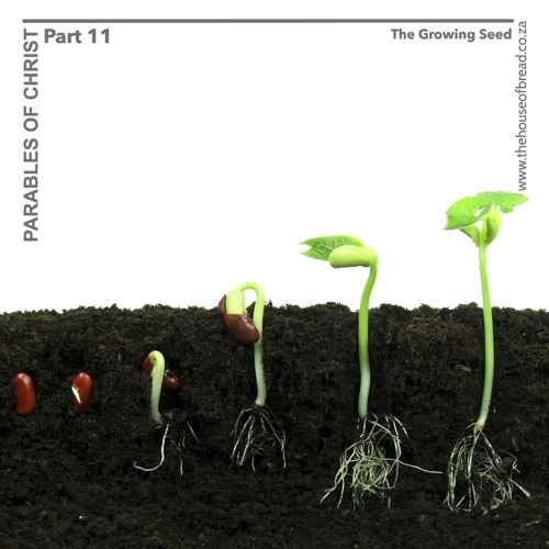 Voice Note For 20241013 - The Growing Seed - Parables Of Christ - Part 11