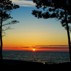 2025-06-27 Organic Free Sounds of June