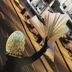 ALMM (sparklehorse cover)