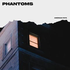 Phantoms
