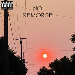 No Remorse (Prod. Scrappy Dog)