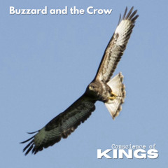 Buzzard and the Crow  -   Conscience of Kings