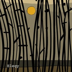 Elegy - (vla. Stella Degli Esposti)