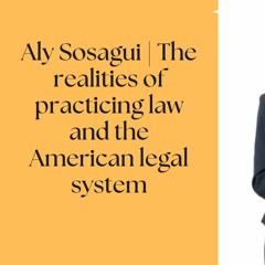 The realities of practicing law and the American legal system