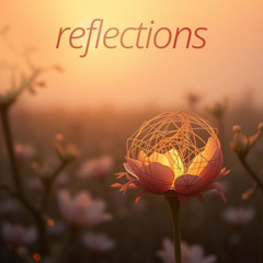reflections